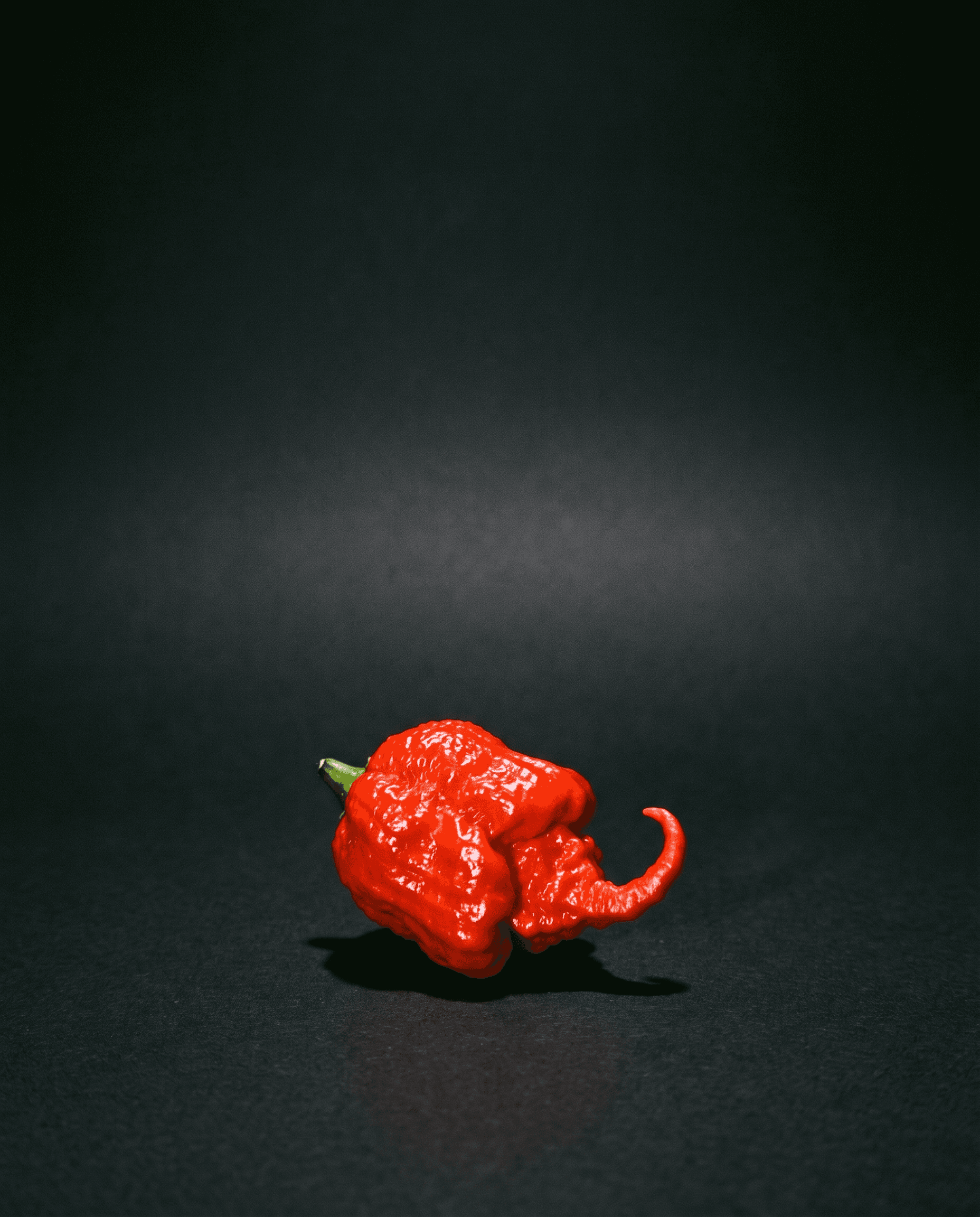 A Carolina Reaper pepper on a black sweep