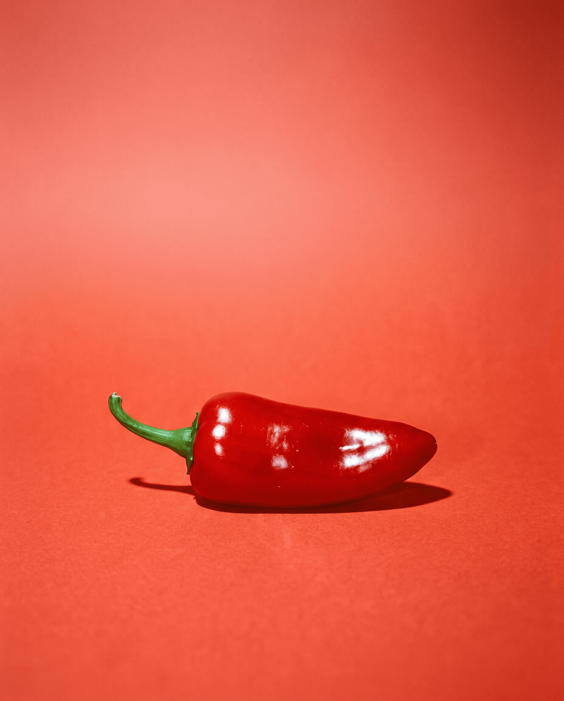 A red Fresno chile on a tomato sweep