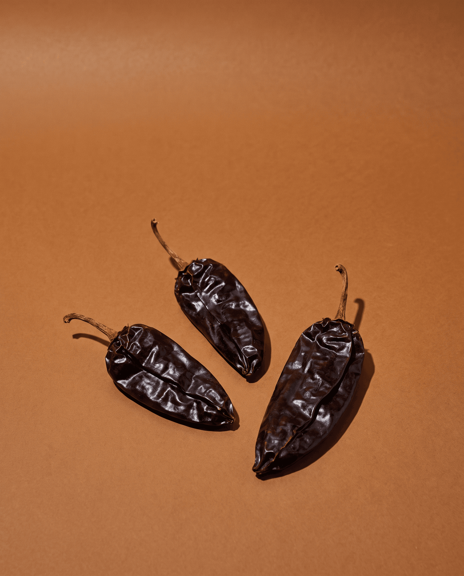Three dried morita chiles on an umber sweep