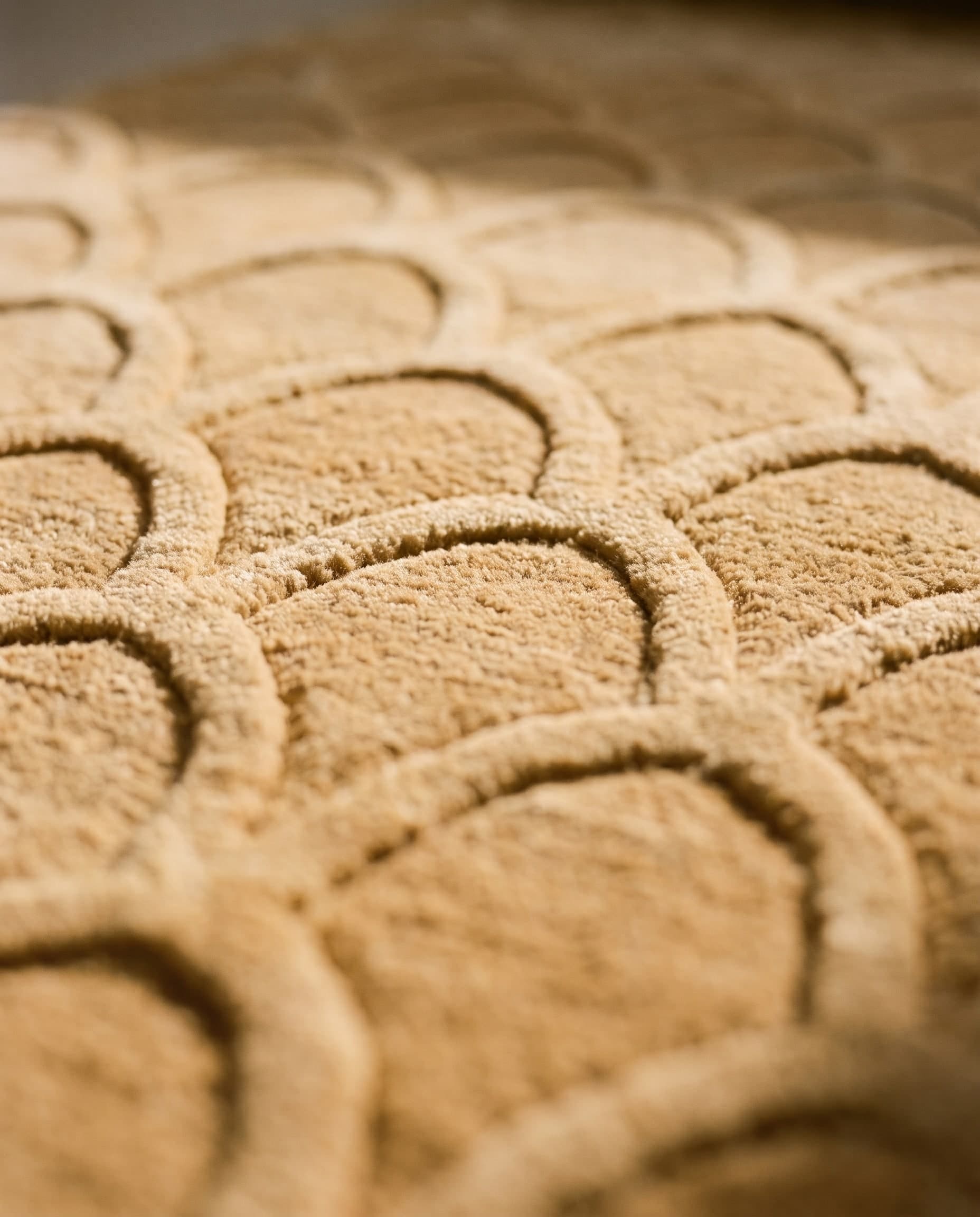 Ochre Runner, image 3